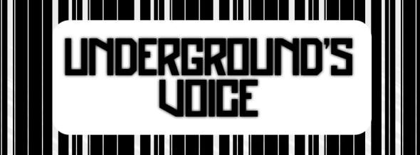 11412438_868602089842866_8851439749471881133_n